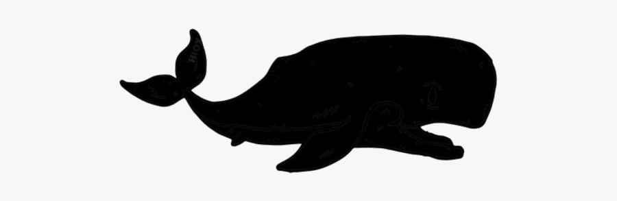 Transparent Whale Png Clipart Free Download - Whale, Transparent Clipart