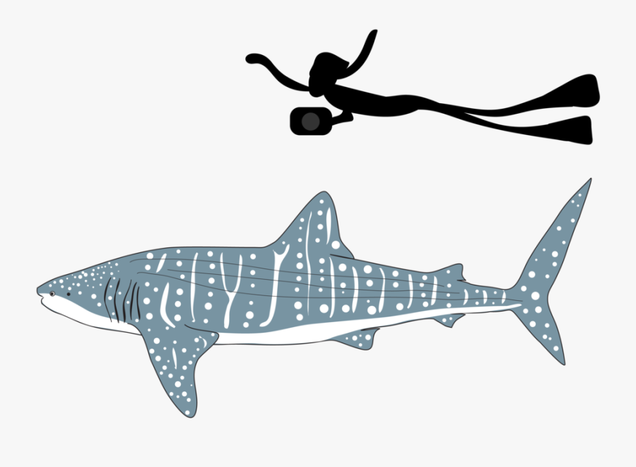 Be Part Of The Solution, Transparent Clipart