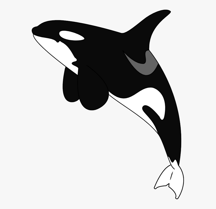 Transparent Killer Whale Clipart - Killer Whale Cartoon Png, Transparent Clipart