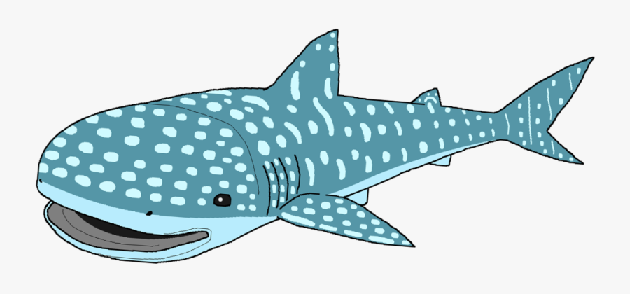 Whale Shark Clipart - Whale Shark Clipart Png, Transparent Clipart