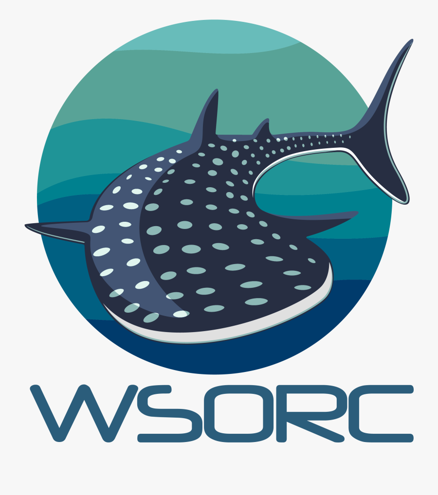 Whale Fish,shark - Whale Shark Oceanic Research Center, Transparent Clipart