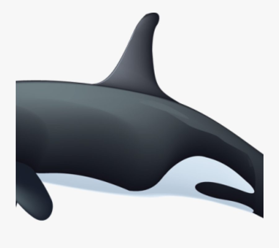 Orca Whale Clipart Killer Whale Clipart Rianfil Music - Wholphin, Transparent Clipart