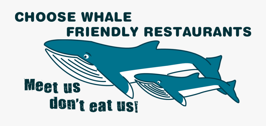 Turquoise Clipart Friendly Whale - Whale, Transparent Clipart