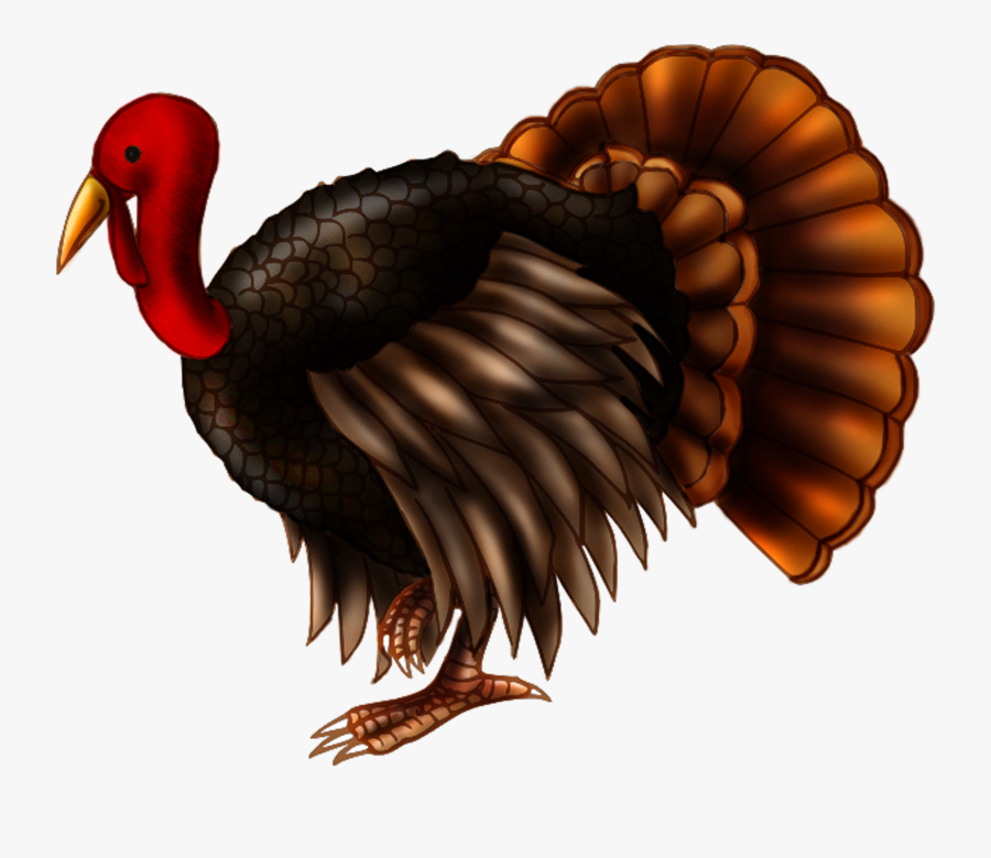 Picture Transparent Transparent Turkey Real - Clipart Turkey Transparent Background, Transparent Clipart