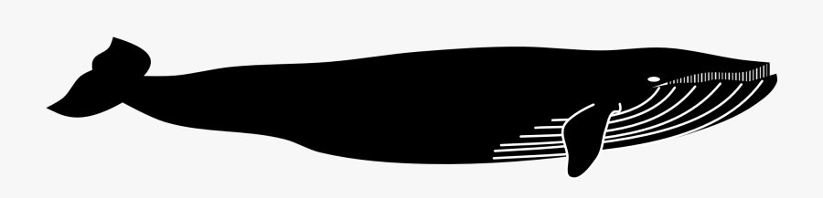 Blue Whale Marine Mammal Animal - Blue Whale Silhouette Black, Transparent Clipart