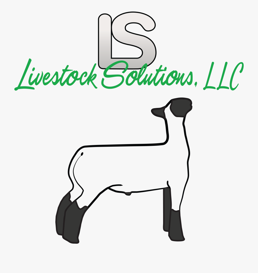 Sheep Repro Tub - Goat, Transparent Clipart