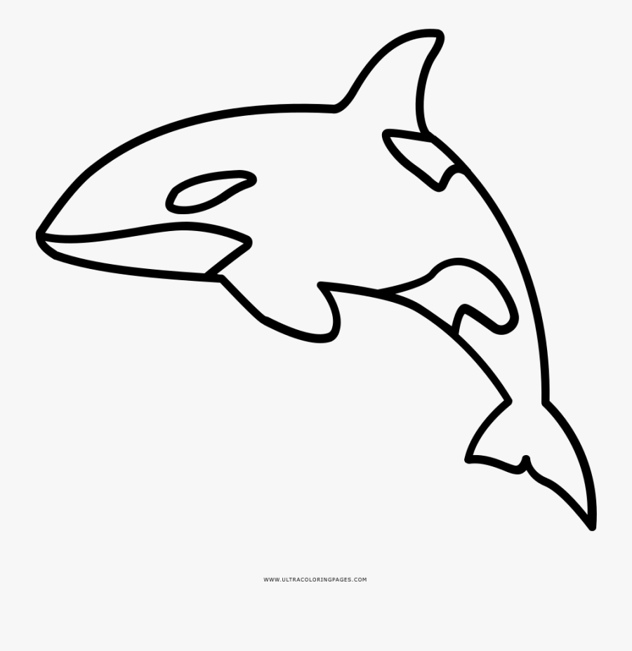 Full Size Of Coloring Book And Pages - Outline Of Killer Whale, Transparent Clipart
