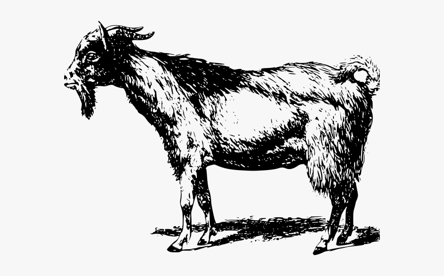 Gote Png, Transparent Clipart