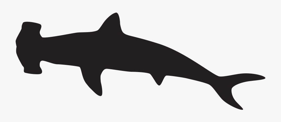 Orca Clipart Silhouette - Hammerhead Shark Silhouette Png, Transparent Clipart