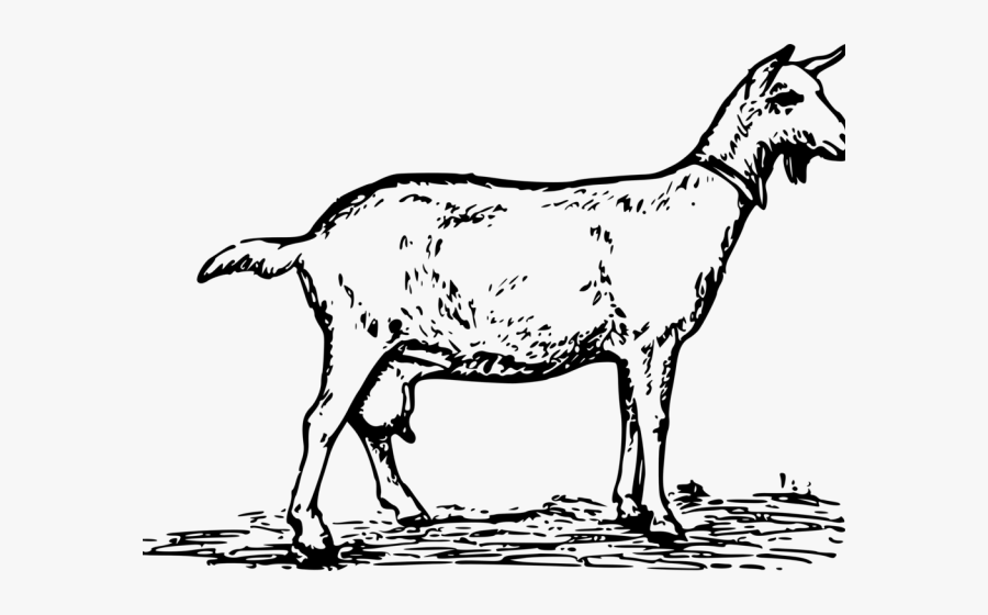 Goat Clipart Black And White, Transparent Clipart