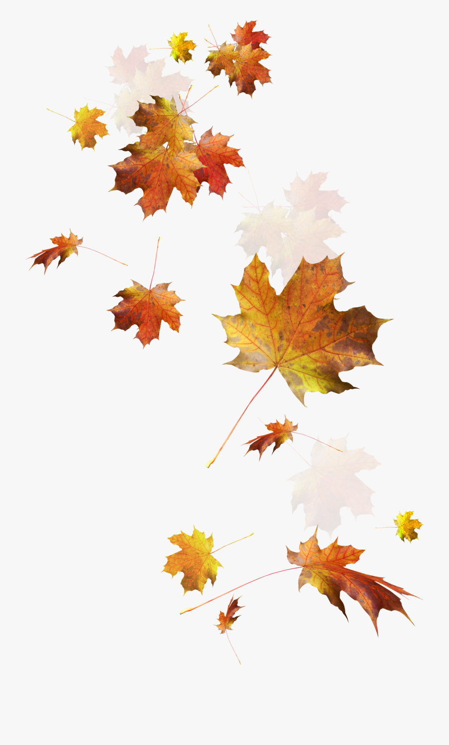 Transparent Fall Leaves Falling Png - Falling Autumn Leaves Png, Transparent Clipart