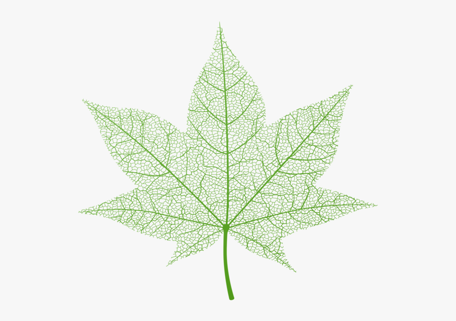 Transparent Background Fall Leaves Png, Transparent Clipart