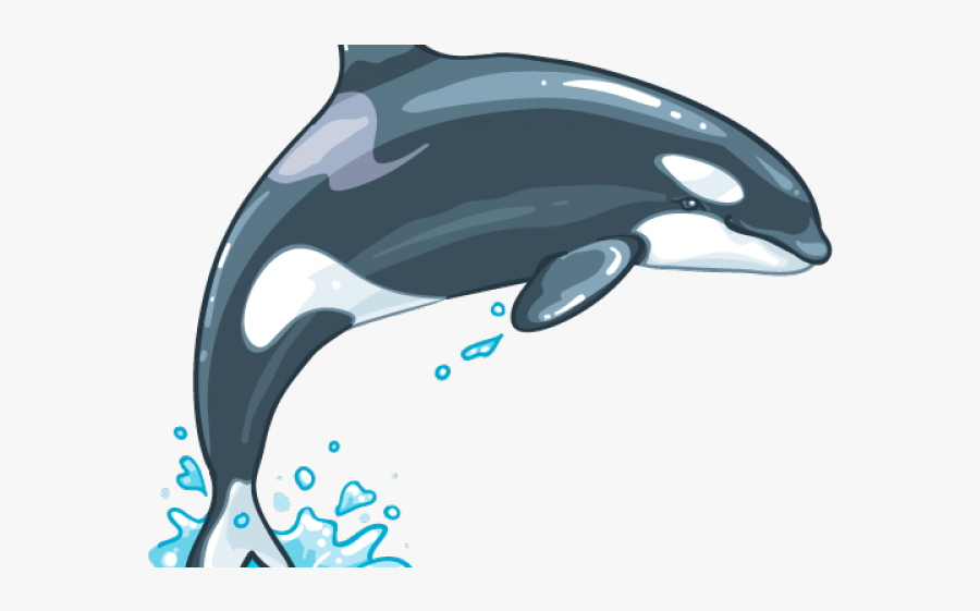 Killer Whale Png Transparent Images - Portable Network Graphics, Transparent Clipart