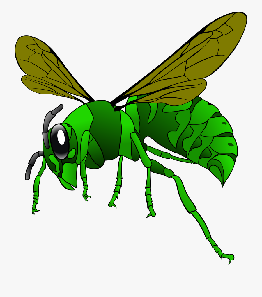 Clipart - Wasp Clipart, Transparent Clipart
