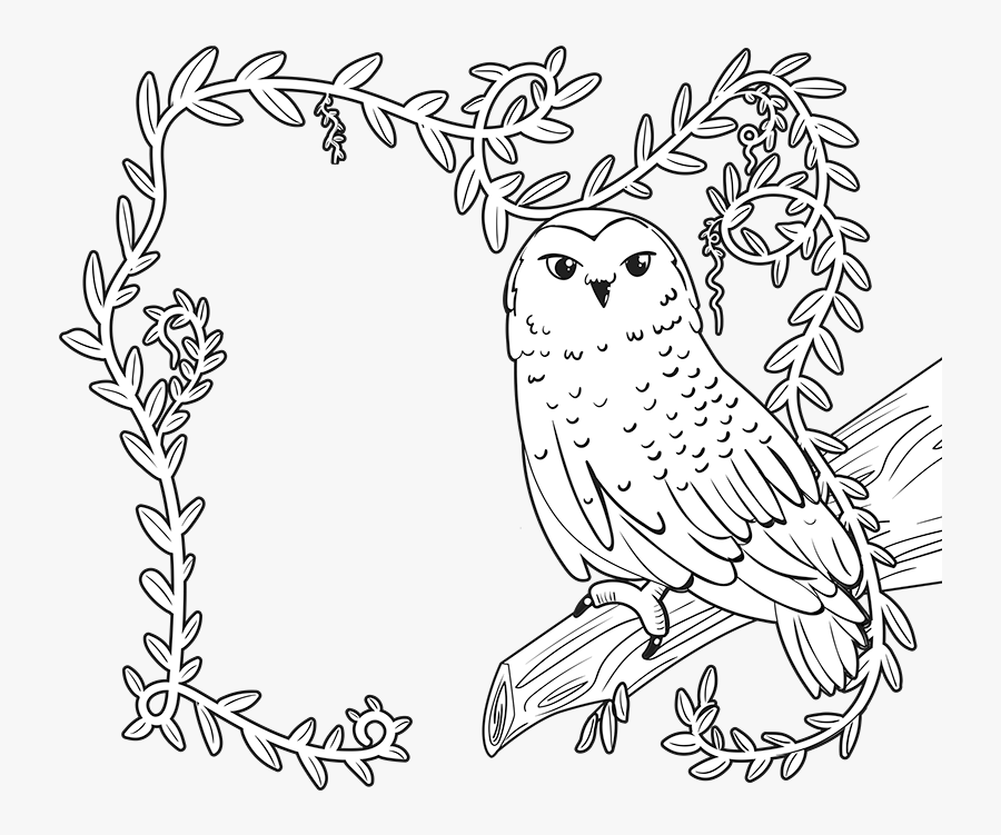 Enchanted Forest Book Fair Coloring Page, Transparent Clipart