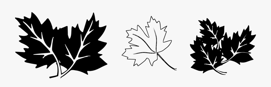 Leaf Black And White Tree White Oak Plants Free Commercial - Oak Leaves Clip Art Black And White, Transparent Clipart