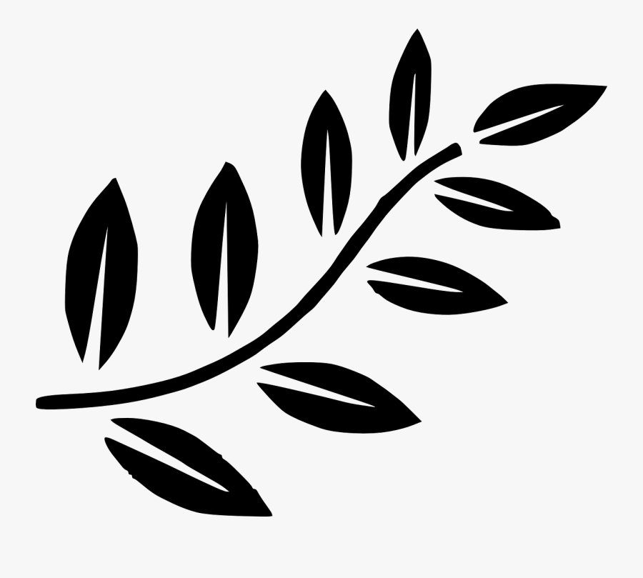 Transparent Leaf Clipart Black And White - Tree Branch Clip Art, Transparent Clipart