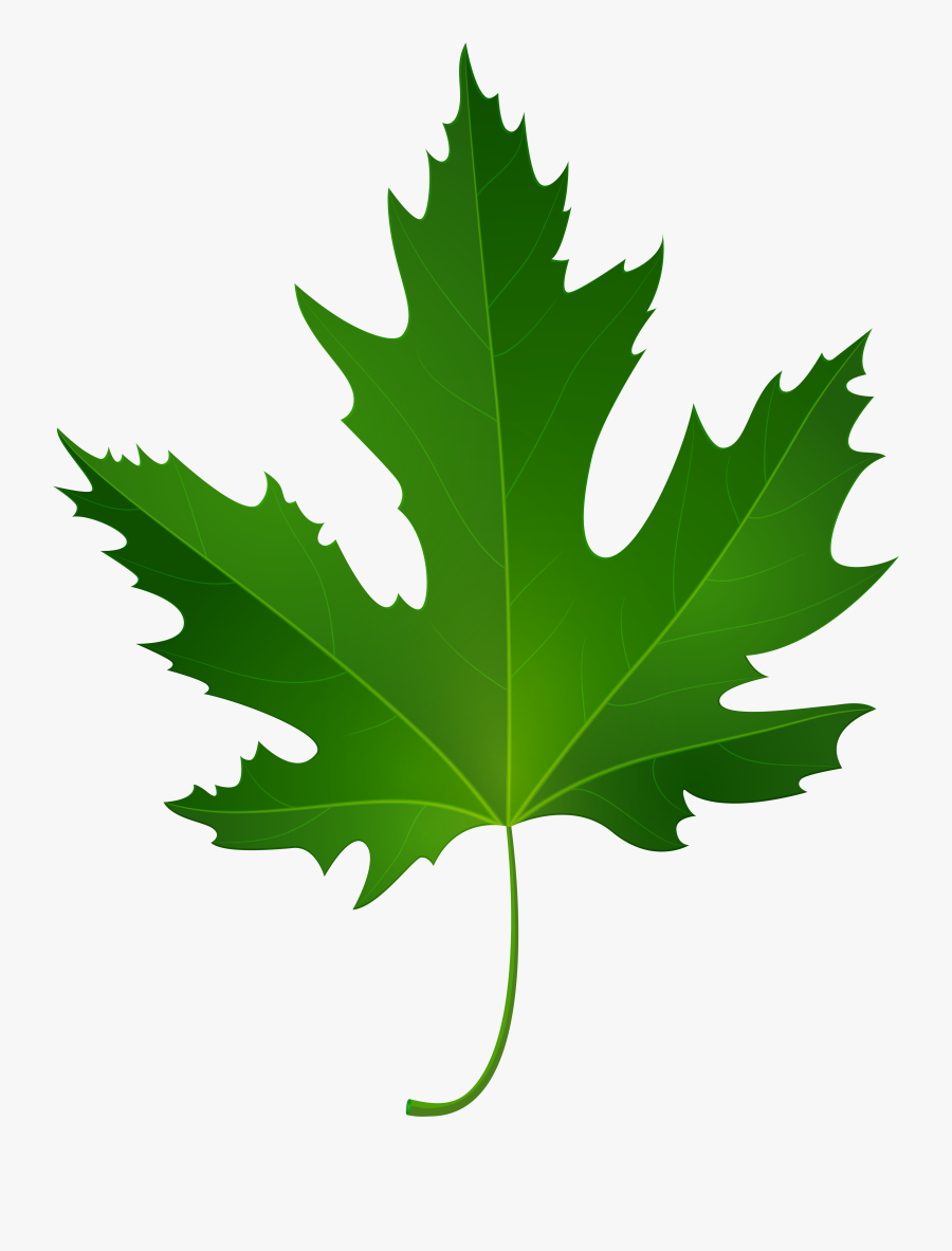 Maple Leaf Png Clip Art, Transparent Clipart