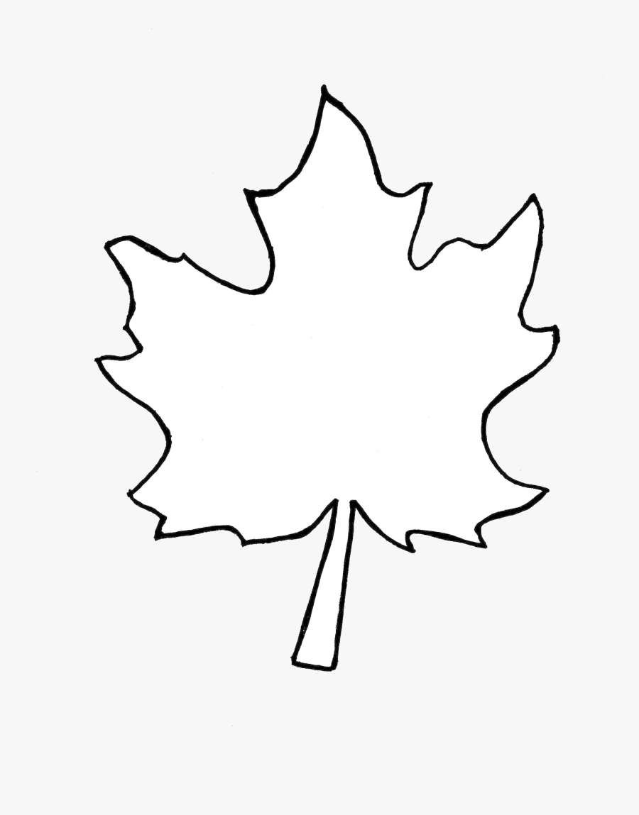 Leaf Outline Clipart Black And White Free Best Transparent - Clip Art, Transparent Clipart