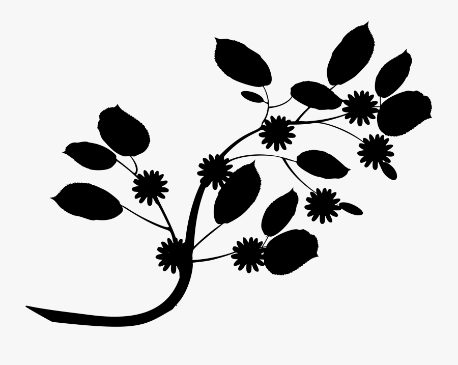 Plant,flora,leaf, Transparent Clipart