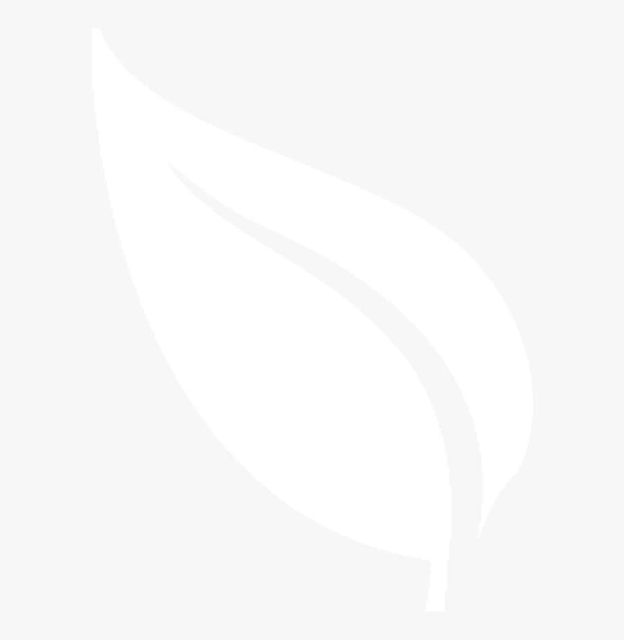 Transparent Background White Leaf, Transparent Clipart