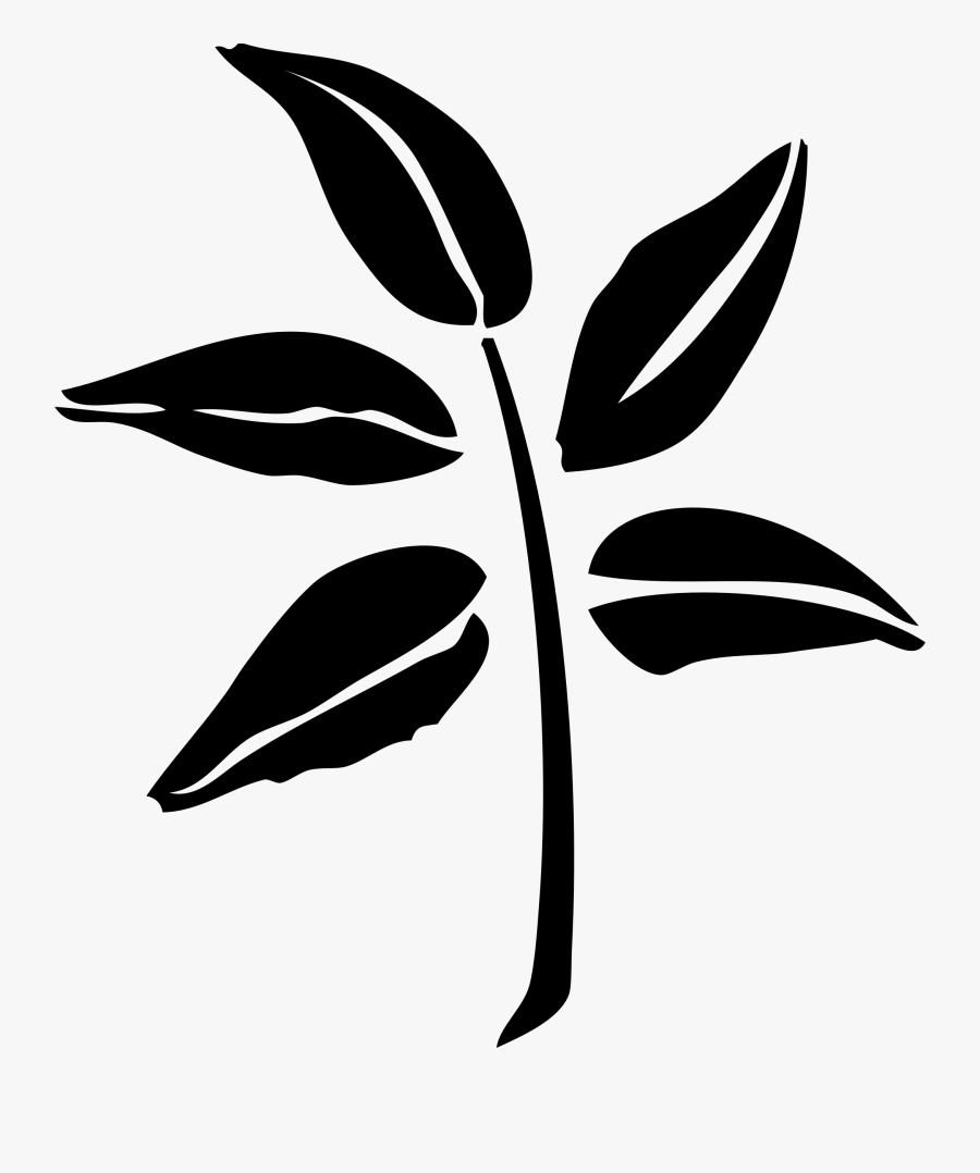 Clipart - - Neem Leaf Silhouette, Transparent Clipart