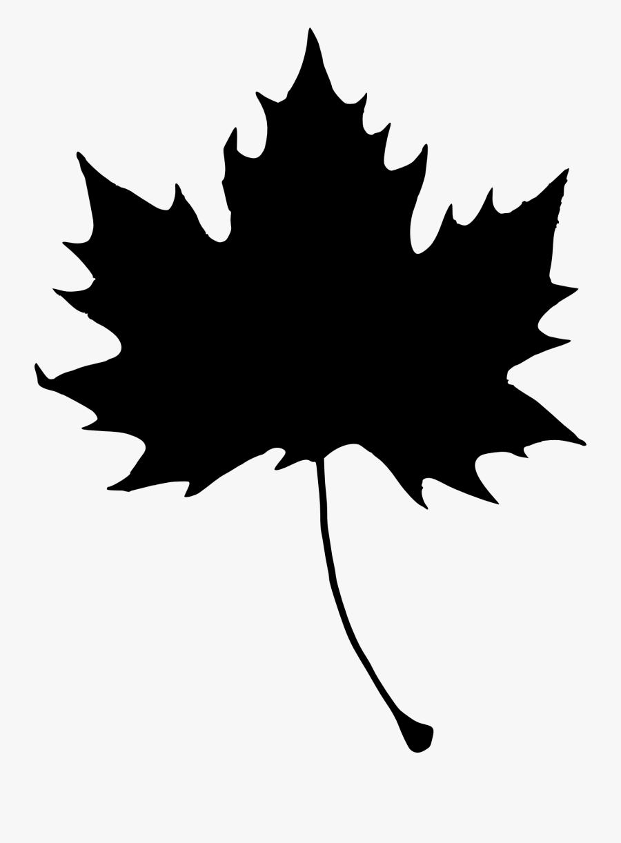 Maple Leaf Clipart Svg - Maple Leaf Leaf Silhouette Clip Art, Transparent Clipart