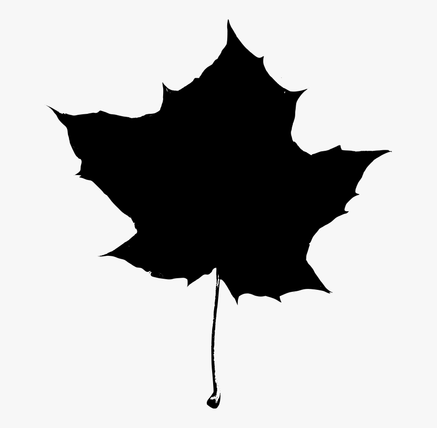 Maple Leaf Silhouette Clip Art - Maple Leaf Silhouette Png, Transparent Clipart