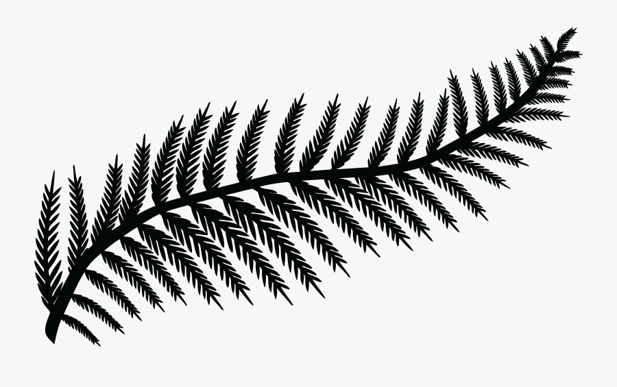 Plant,close Up,leaf - Fern Clipart Black And White, Transparent Clipart