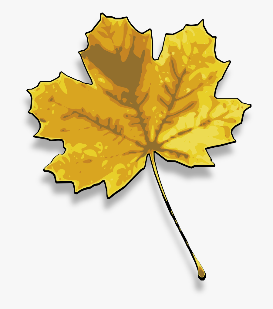 Free To Use Amp Public Domain Leaves Clip Art - Dried Leaf Clip Art, Transparent Clipart