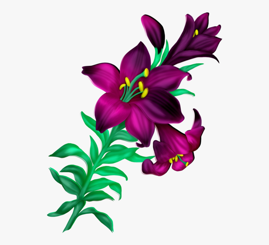 Png Images Of Beauty Flower Clipart , Png Download - Beautiful Flowets Clip Art, Transparent Clipart