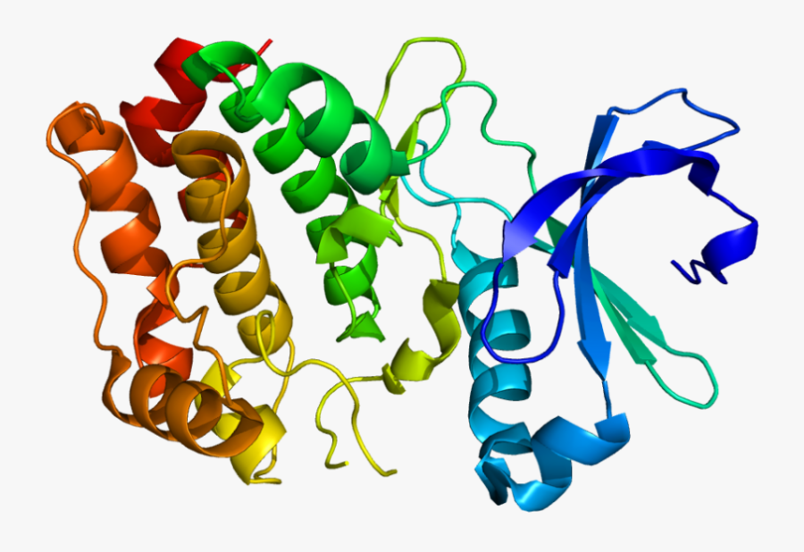 Proteins Molecules, Transparent Clipart