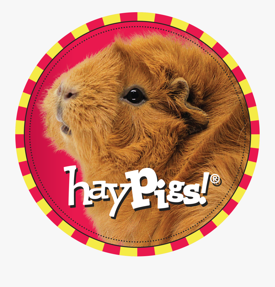Clip Art Haypigs Toys Feeders Accessories - Maldives Chamber Of Commerce, Transparent Clipart