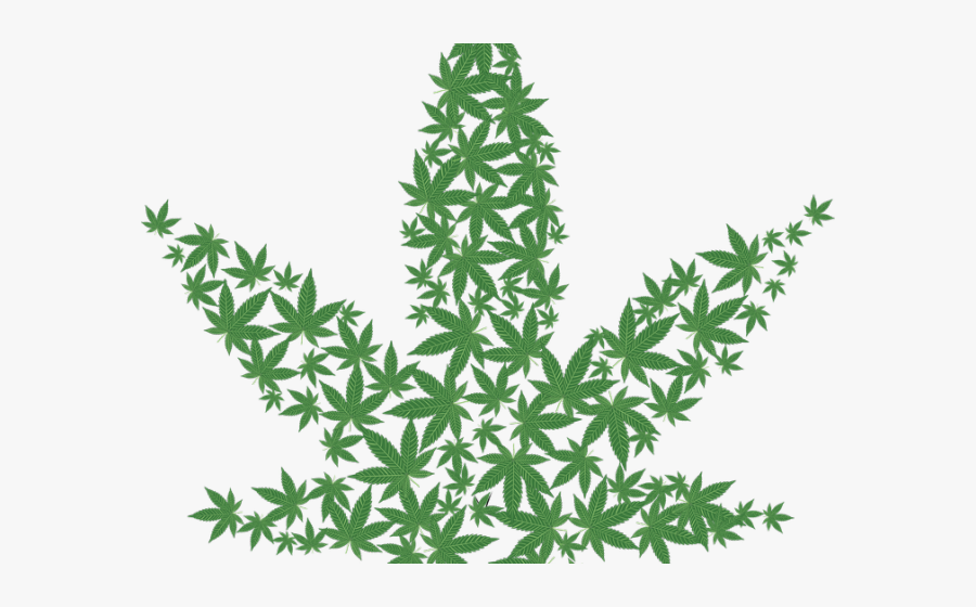 Weed Clipart Illegal Drug - Pot Leaves, Transparent Clipart