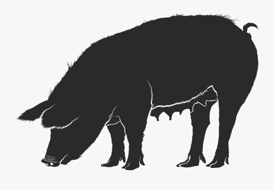Domestic Pig Guinea Pig Silhouette Clip Art - Silhouettes Of Pig Png, Transparent Clipart