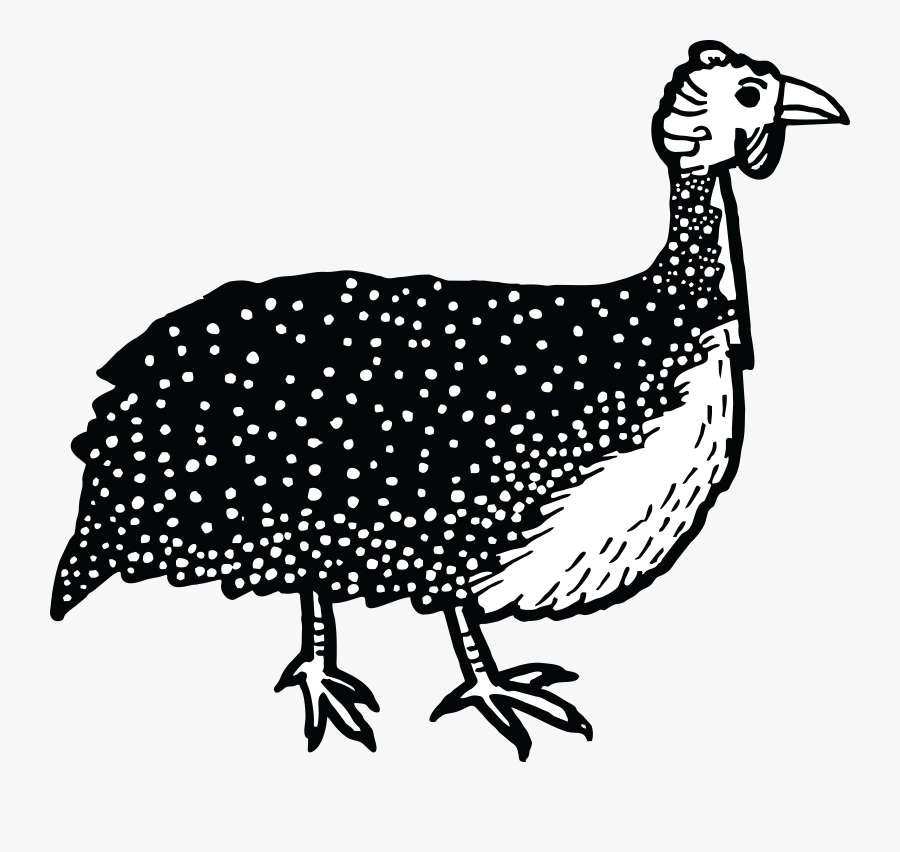 Free Clipart Of A Guinea Fowl Bird - Guinea Fowl Clipart Black And White, Transparent Clipart