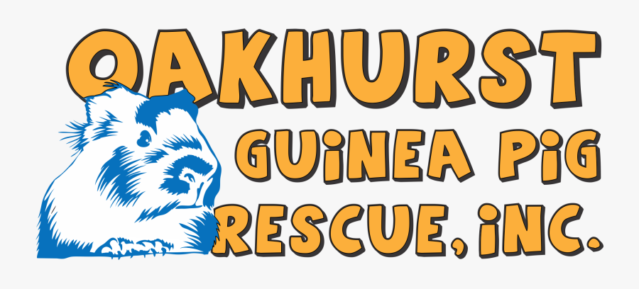 Guinea Pig Clipart - #1 Dads, Transparent Clipart