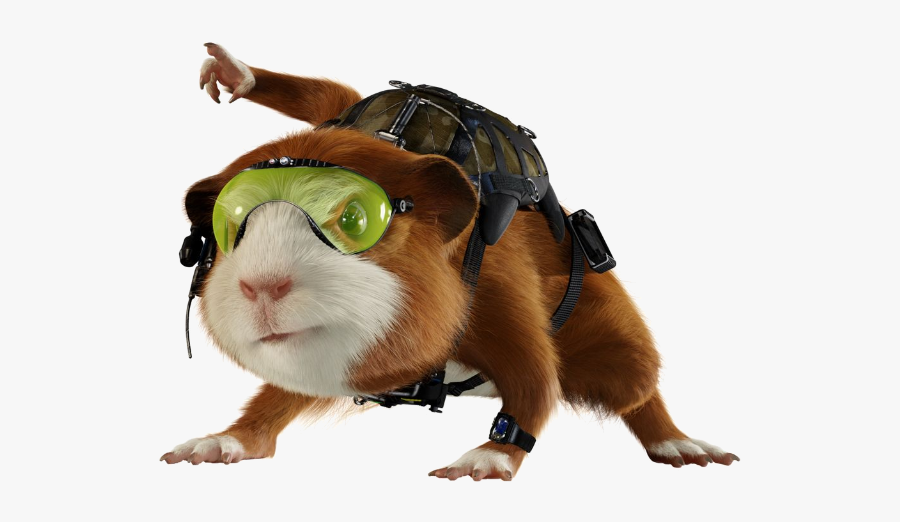 Clip Art Guinea Pig Photos - Darwin The Guinea Pig, Transparent Clipart