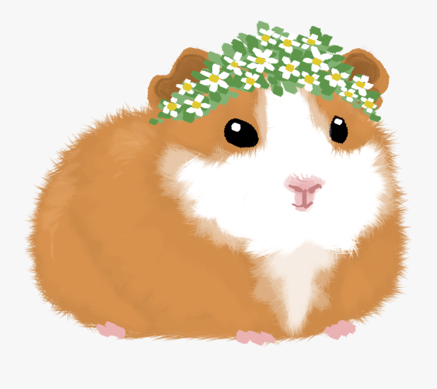 Transparent Flower Crowns Png - Cute Guinea Pig Drawing, Transparent Clipart