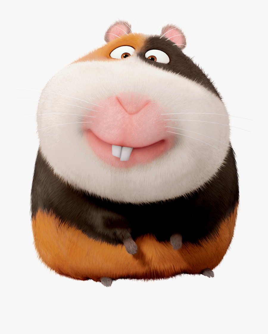 Freeuse Library Hamster Clipart Guinea Pig - Norman The Secret Life Of Pets, Transparent Clipart