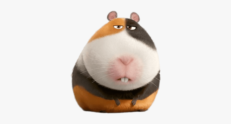 Guinea-pig - Secret Life Of Pets Hamster Name, Transparent Clipart