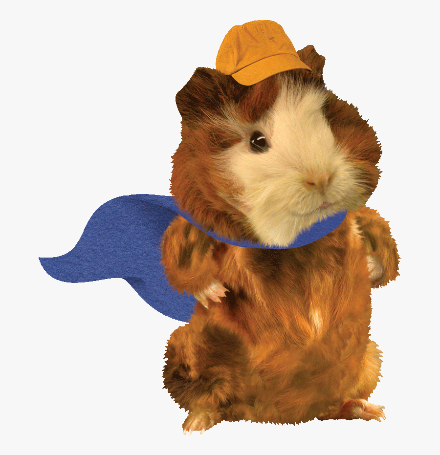 Linny Nickelodeon Universe - Wonder Pets Png, Transparent Clipart