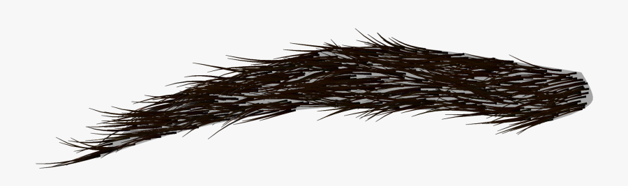 Banner Free Library Eyebrow Image Collections Eye - Eyebrows Png, Transparent Clipart