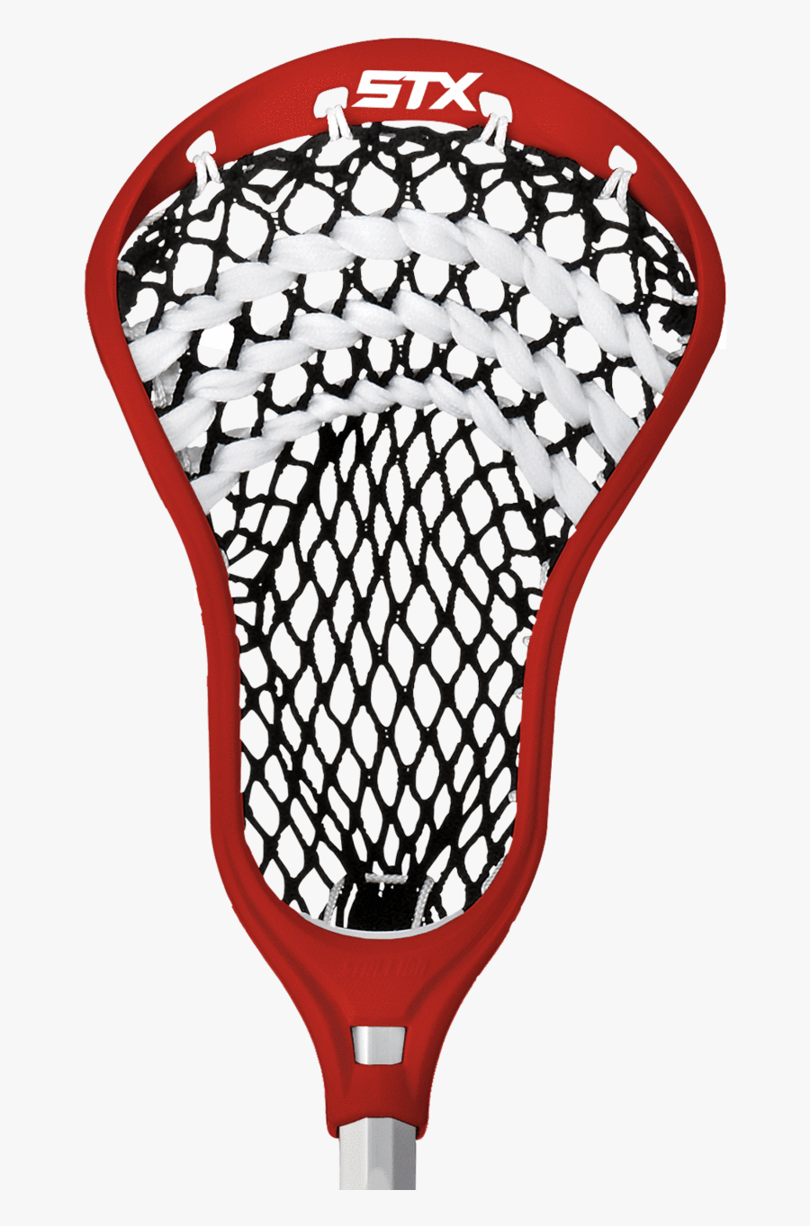 Transparent Lacrosse Stick Png - Lacrosse Stallion, Transparent Clipart