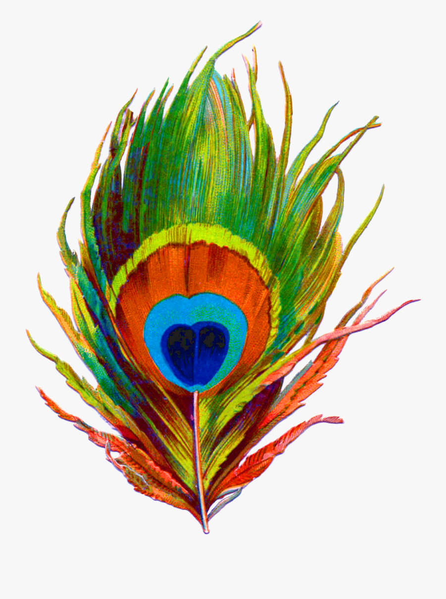 Bansuri With Peacock Feather Png - Peacock Feather Png Logo, Transparent Clipart
