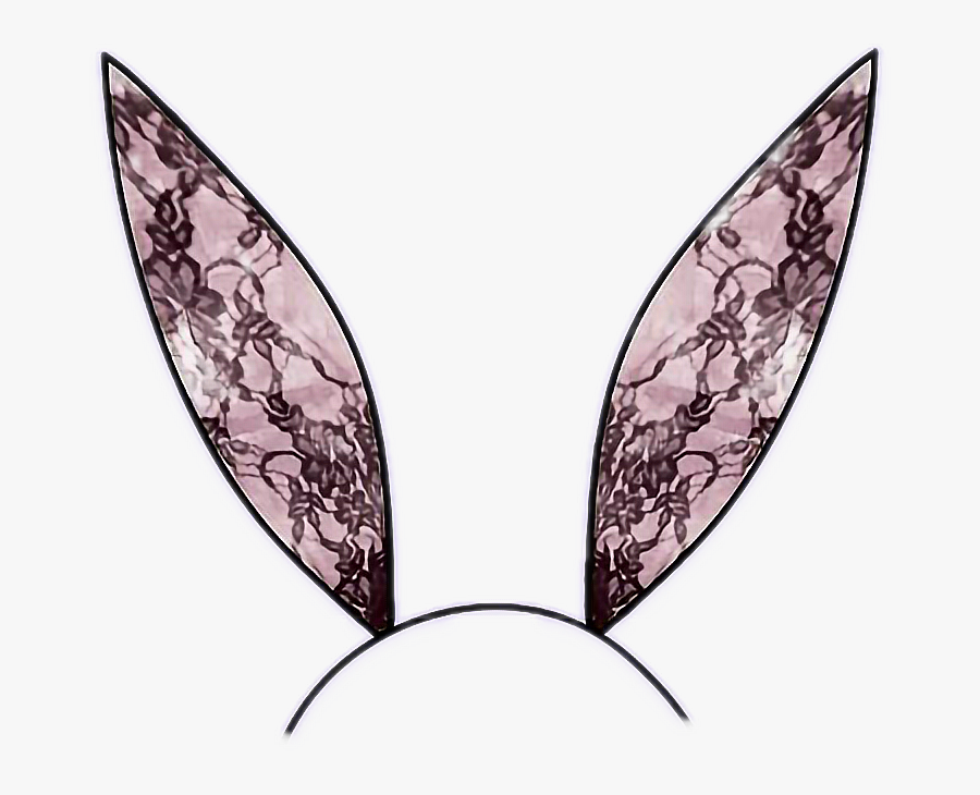 Bunnyears Black Pink Lace - Illustration, Transparent Clipart