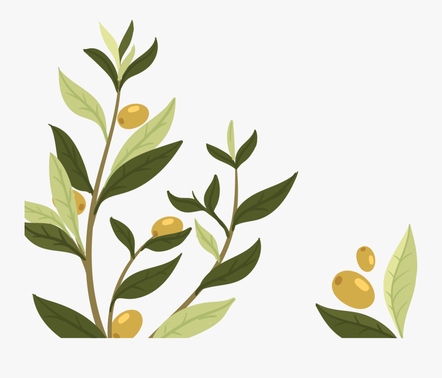 Clip Art Wedding Invitation Leaf Natural - Nature Republic Ultra Hydrate Olive Toner, Transparent Clipart