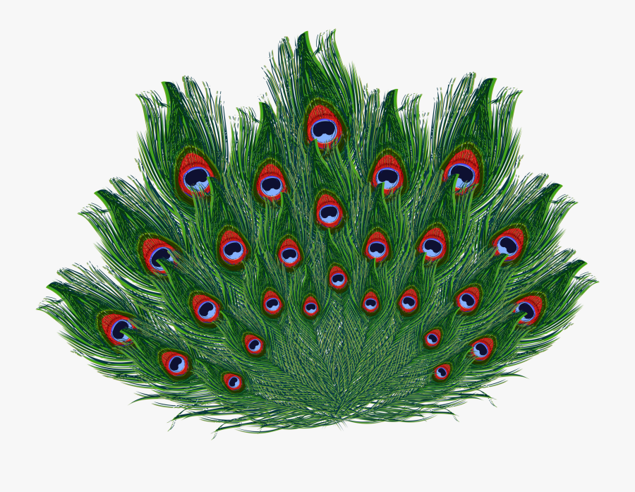 Krishna Images, Emoticon, Peacock Feathers, Krishna - Peacock Feather Images For Png, Transparent Clipart