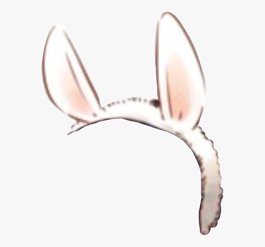 #bunnyears #ears #headband #bunny #band #freetoedit - Transparent Background Bunny Ears Transparent, Transparent Clipart