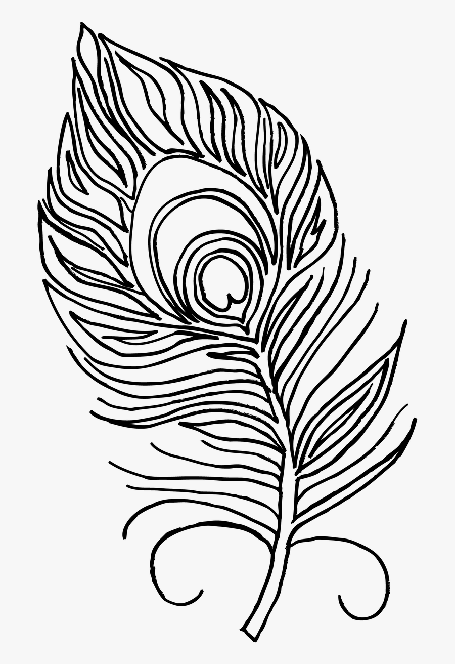 Unique Turkey Feathers Coloring Pages Drawing At Getdrawings - Peacock Feather For Colouring, Transparent Clipart